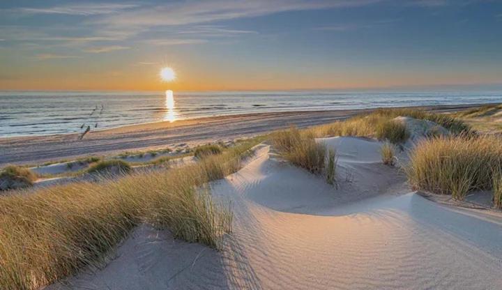 Bondi Beach Renesse Extérieur photo
