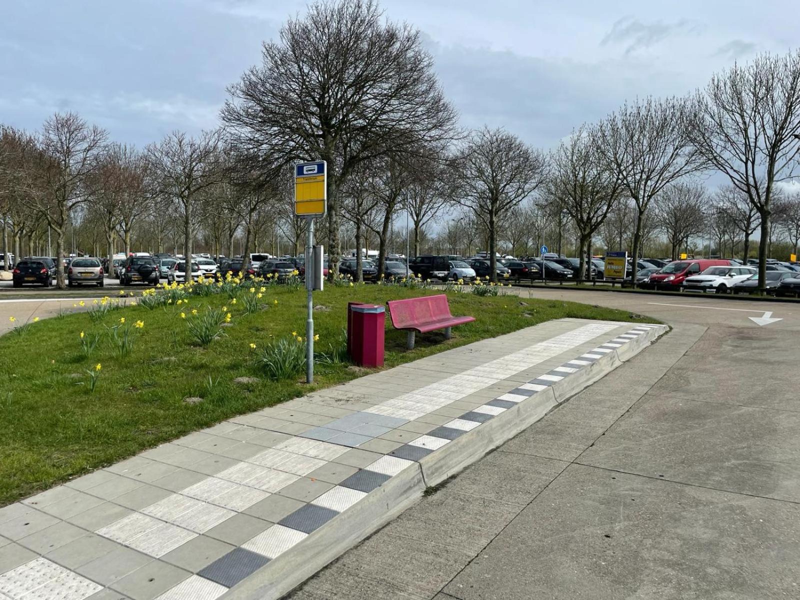 Bondi Beach Renesse Extérieur photo