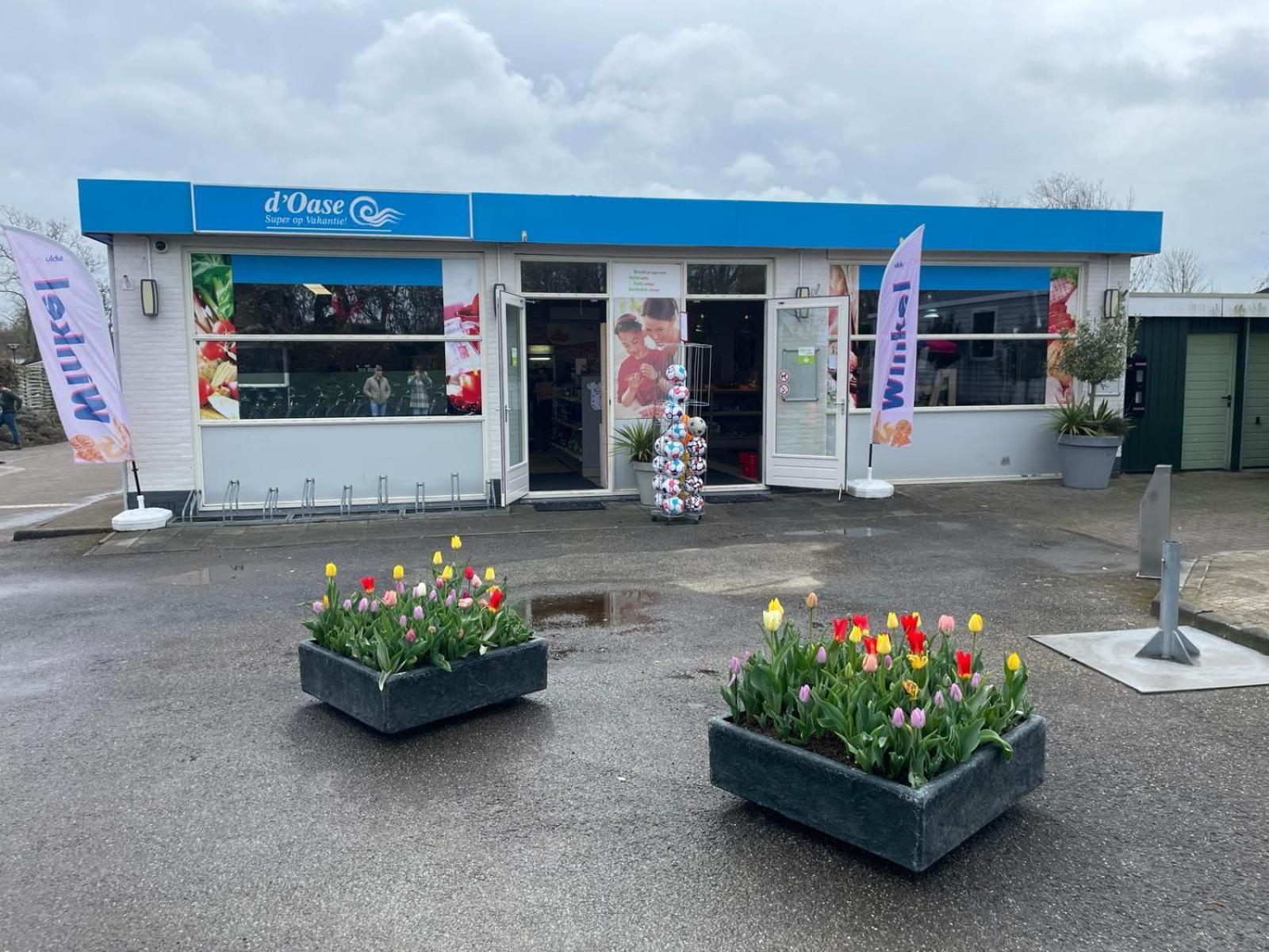 Bondi Beach Renesse Extérieur photo